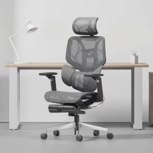 Ergonomic Furniture
